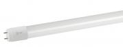 Лампа LED ЭРА LED RED LINE T8 24W-865 230V G13 6500К 1500мм неповоротн. 1/25